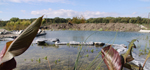 Schwimmteich